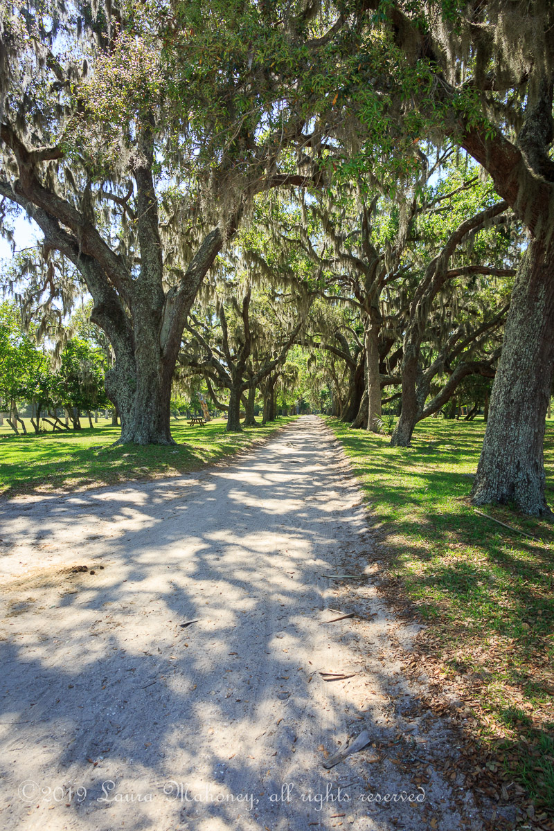 Cumberland Island-2013