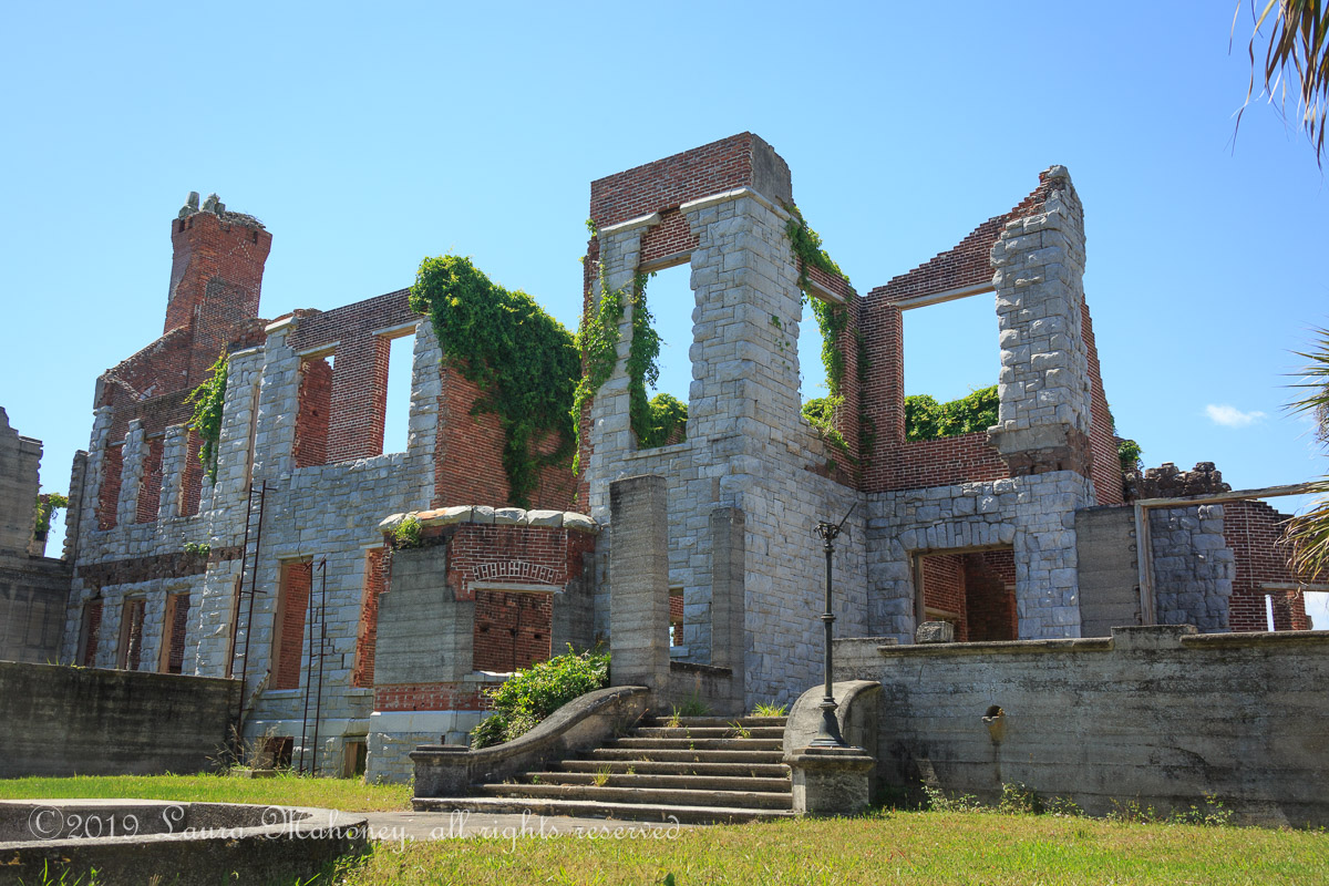 Cumberland Island-2074