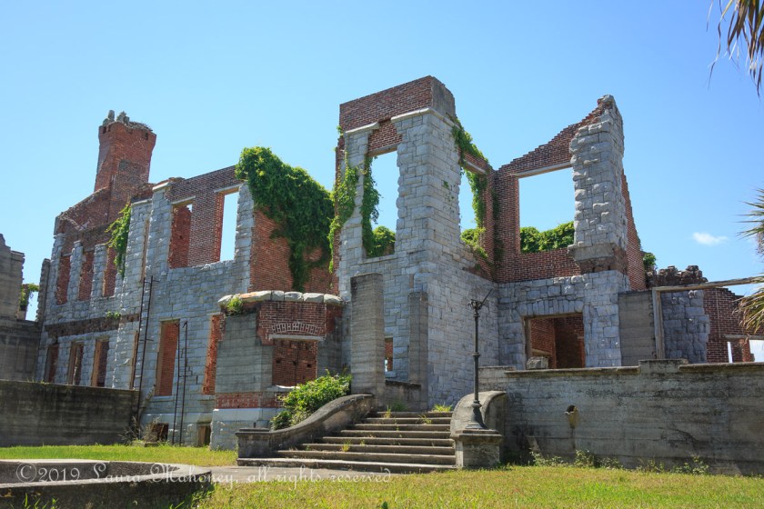 Cumberland Island-2074