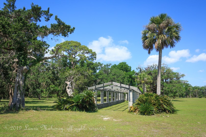 Cumberland Island-2078