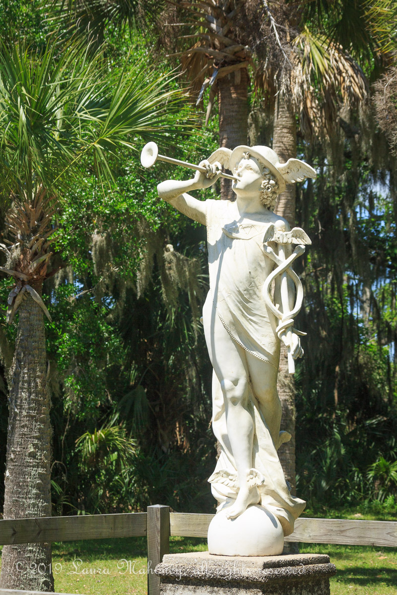 Cumberland Island-2083