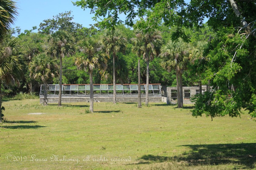 Cumberland Island-2093
