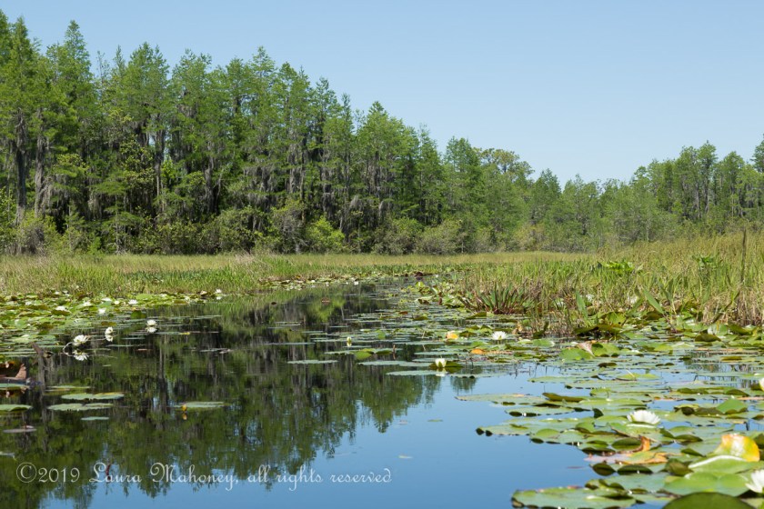 Okefenokee NWR-1969