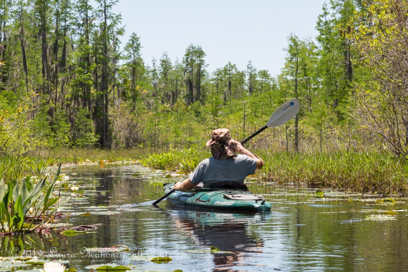 Okefenokee NWR-1983
