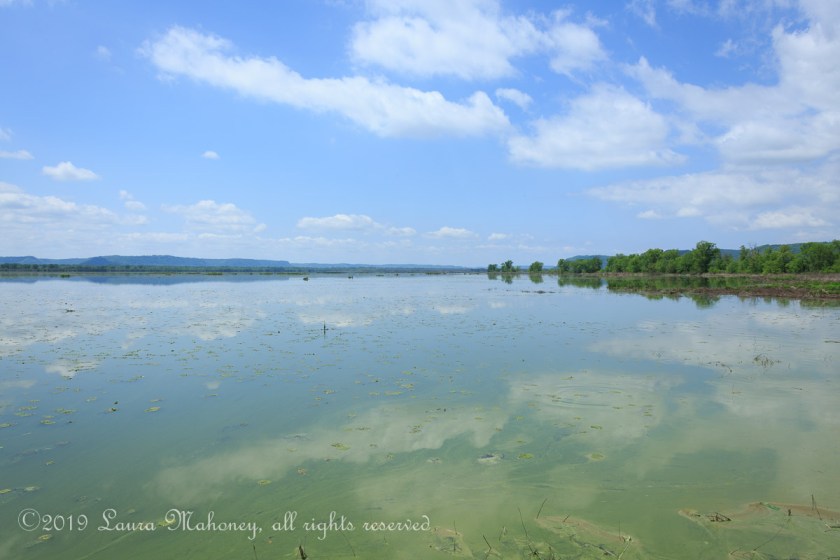 Trempealeau NWR-2534