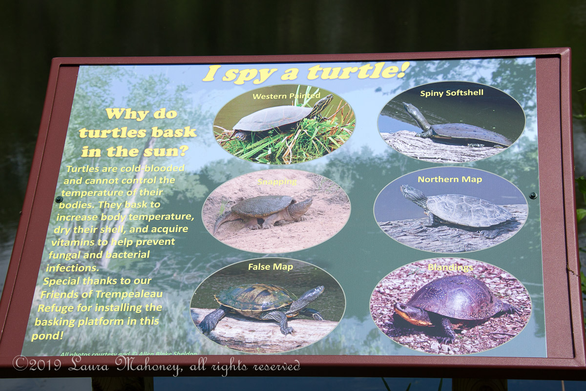 Trempealeau NWR-2544