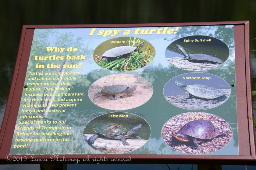 Trempealeau NWR-2544