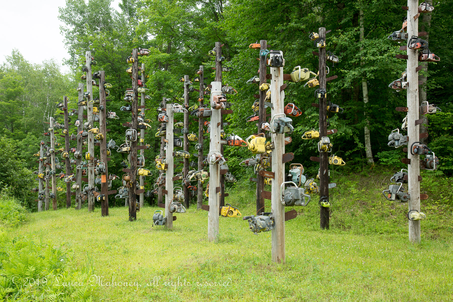 Chequamegon Nicolet NF-2830