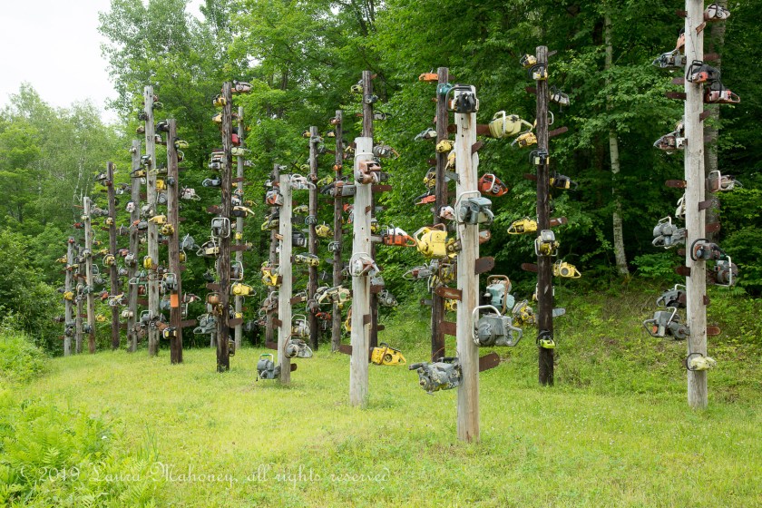 Chequamegon Nicolet NF-2830