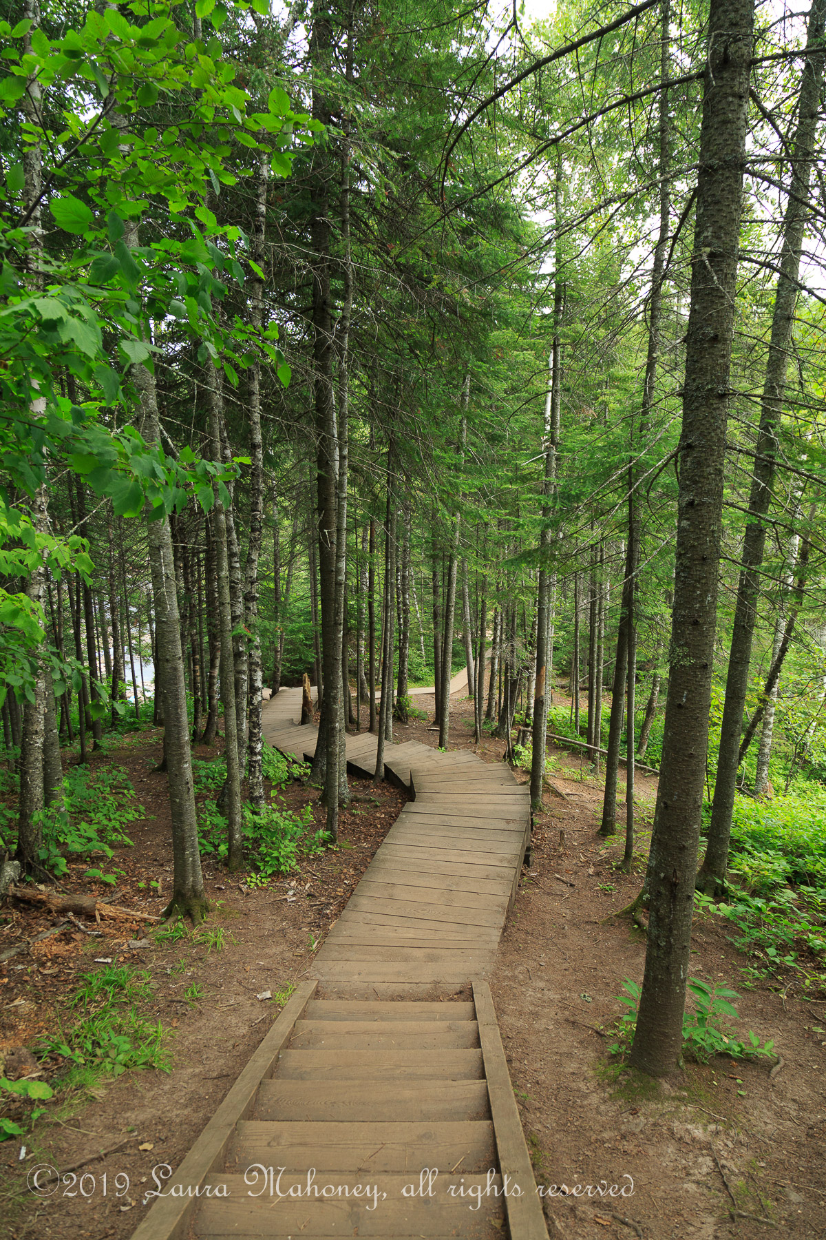 Tettegouche State Park-3077