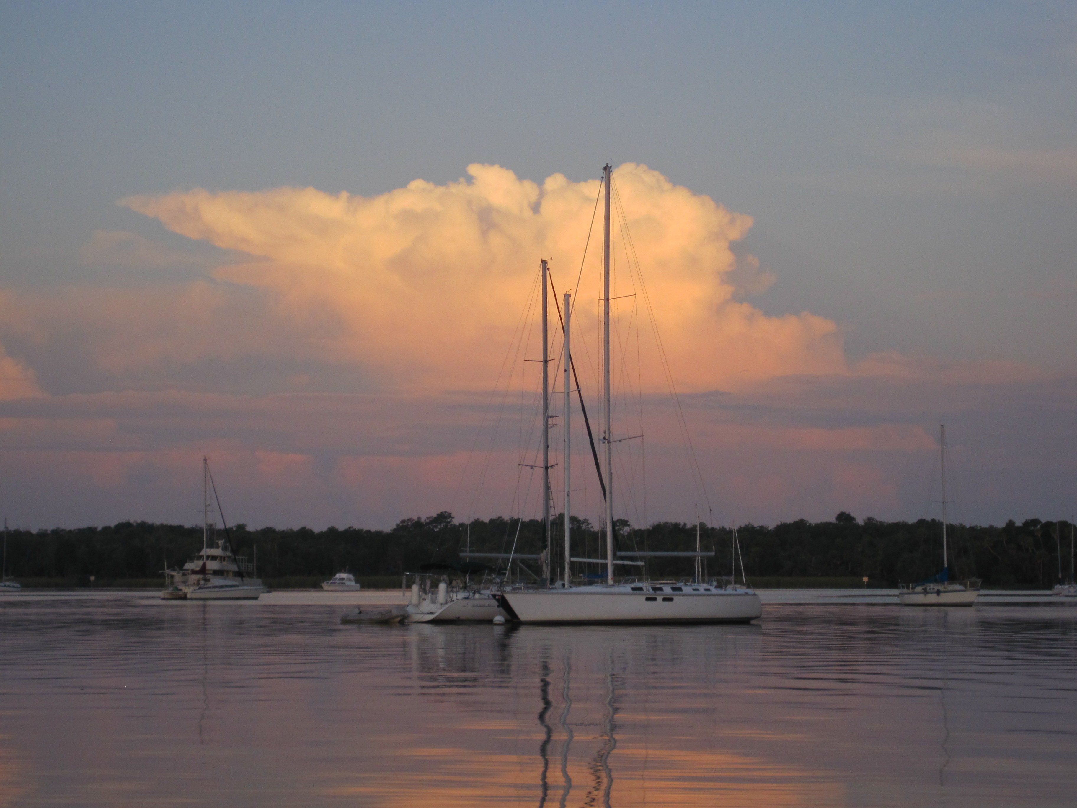 2011Aug Manatee Swim-1988
