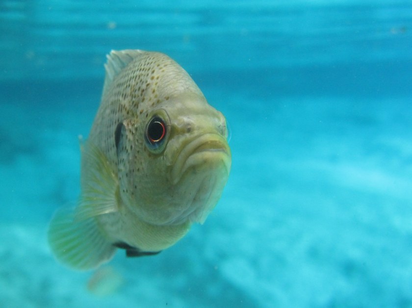 2012March9-120309-015