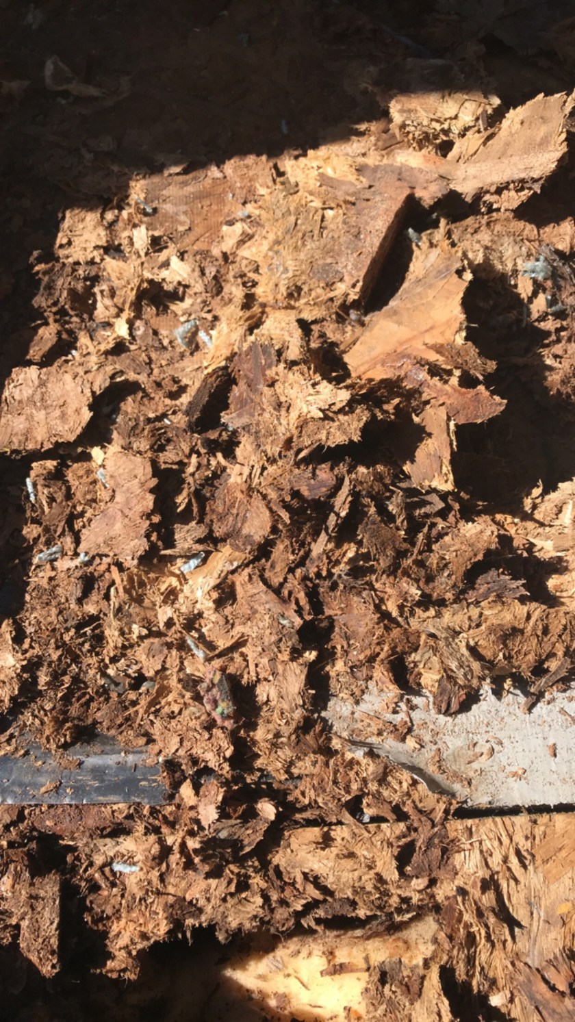 d16cd932-0534-46ae-bd03-a4889210081c