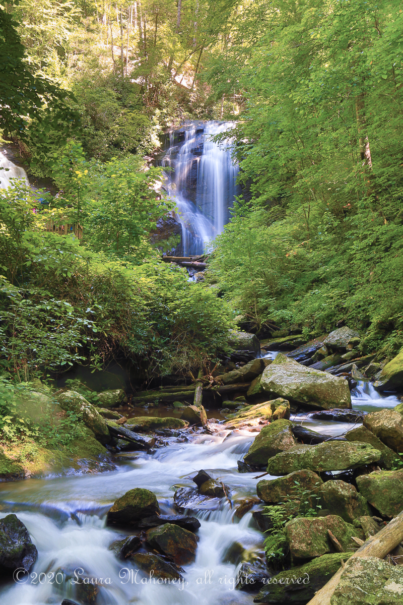Anna Ruby Falls-3636