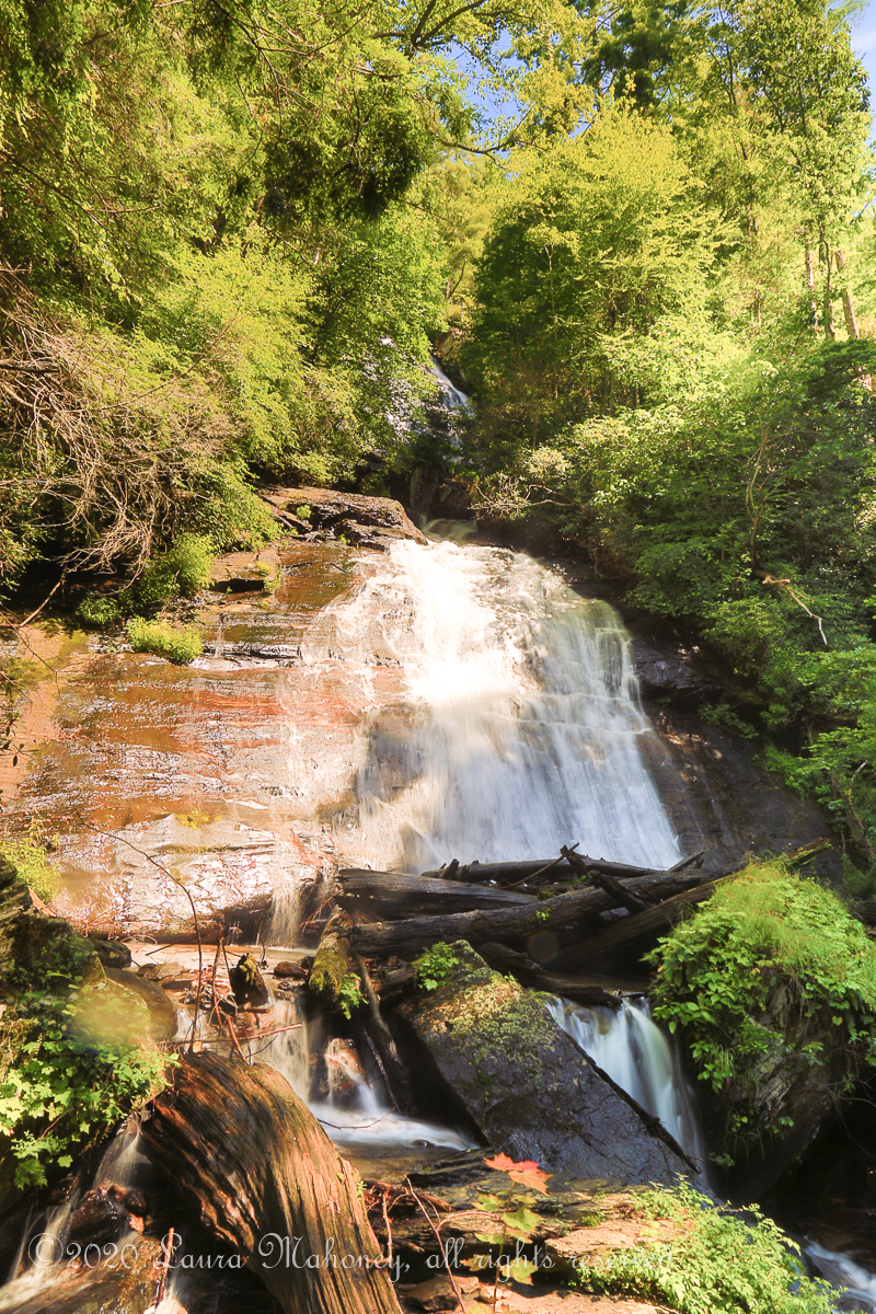 Anna Ruby Falls-3641