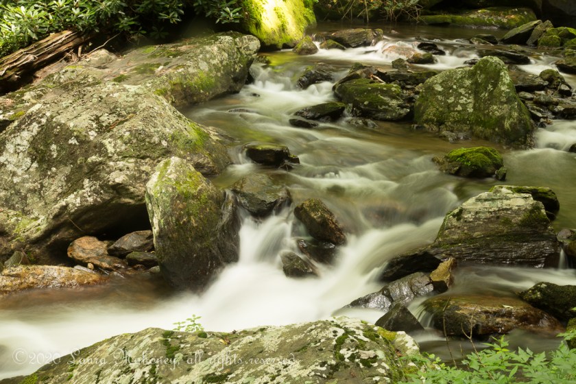 Anna Ruby Falls-3660