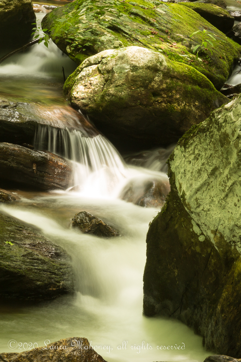 Anna Ruby Falls-3671