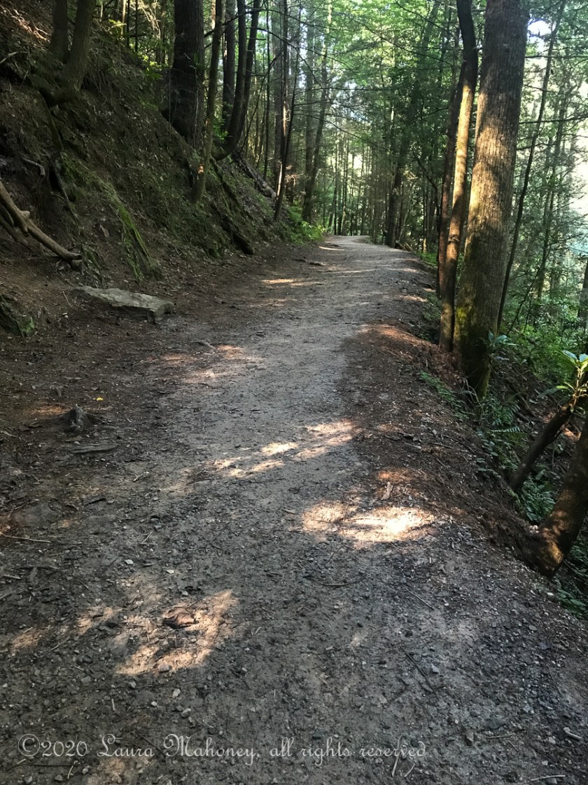 Dukes Creek Falls-8727