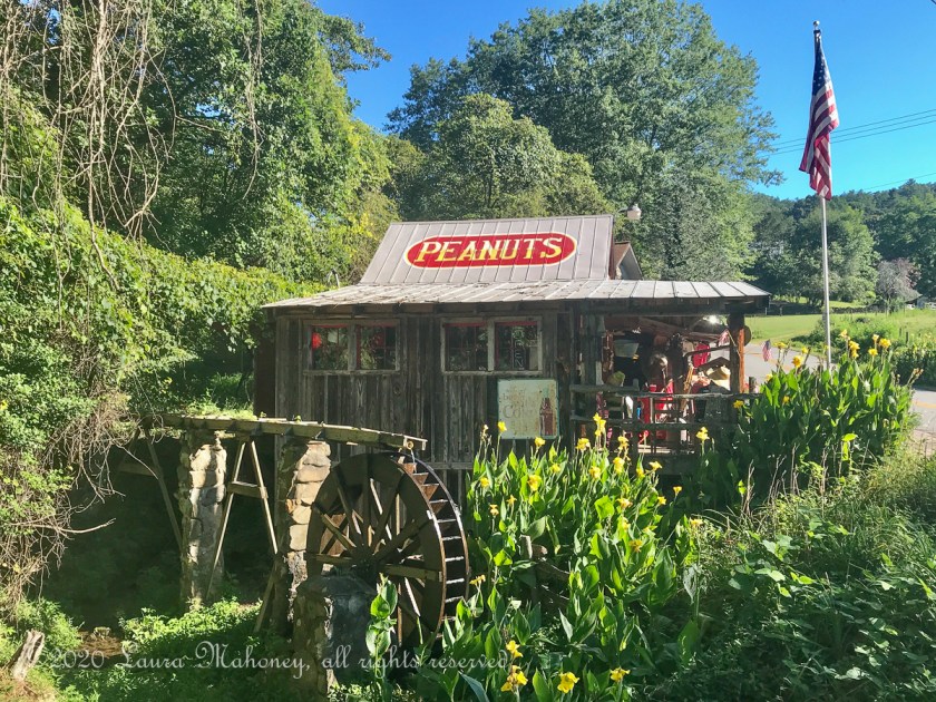 Freds Famous Peanuts-8724