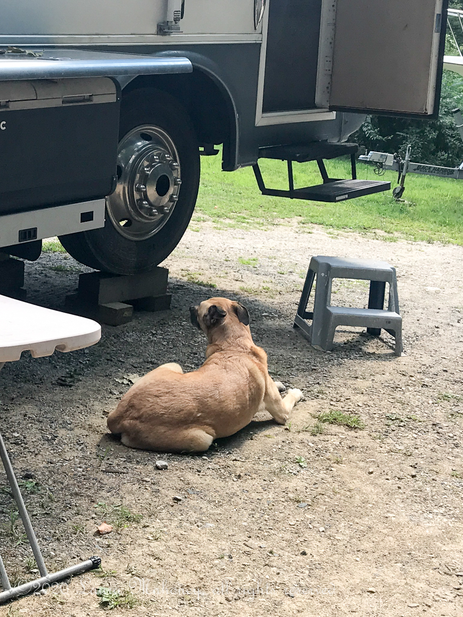 Getting High in the Granite&nbsp;State