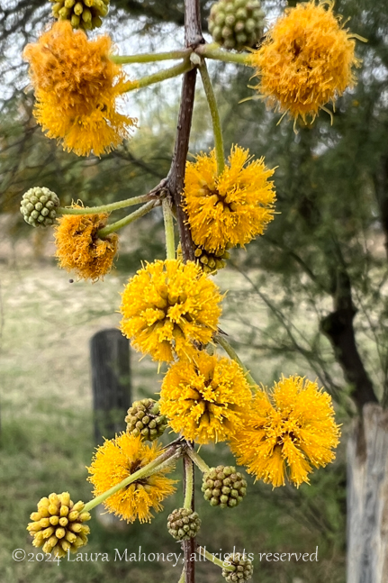 What Else Can Go&nbsp;Wrong?